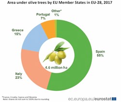 Overview of Olive Oil Production in the European Union 